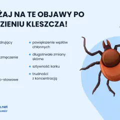 Ilustracja kleszcza i lista objawów po ugryzieniu: rumień, gorączka, zmęczenie, dreszcze, bóle głowy, stawów, powiększone węzły chłonne, zmiany skórne, sztywność karku, trudności z koncentracją.