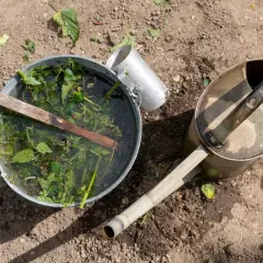 Metalowy kubeł z wodą i pokrzywami obok starej konewki na ziemi.
