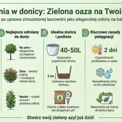 Laurowiśnia w donicy: przewodnik po uprawie zimozielonej rośliny na taras. Porady dotyczące wyboru odmian, donicy, pielęgnacji i zimowania.