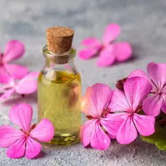 Mała buteleczka z żółtym olejkiem otoczona różowymi kwiatami pelargonii.