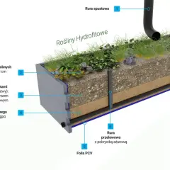 Przekrój przez ogród deszczowy z roślinnością hydrofitową, warstwami podłoża i systemem odprowadzania wody.