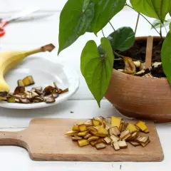 Pokrojone skórki banana na desce i talerzu, gotowe do użycia jako nawóz z banana dla rośliny w glinianej donicy.