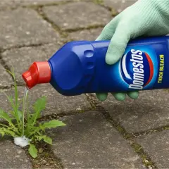 Rękawiczka w zielonej rękawicy wylewa płyn z niebieskiej butelki Domestos na chwasty rosnące między płytkami chodnikowymi.