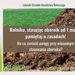 Kupa obornika na tle zielonej trawy i tekstu o jego stosowaniu.