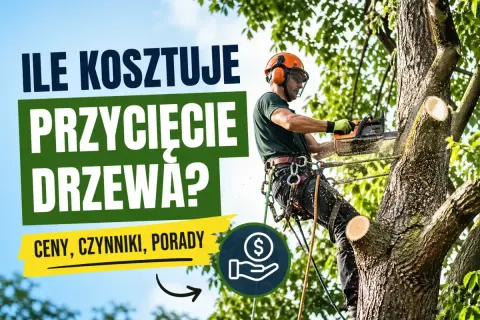 Drwal w kasku i uprzęży tnie drzewo piłą. Napis: "Ile kosztuje przycięcie drzewa? Ceny, czynniki, porady".