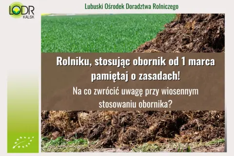 Kupa obornika na tle zielonej trawy i tekstu o jego stosowaniu.