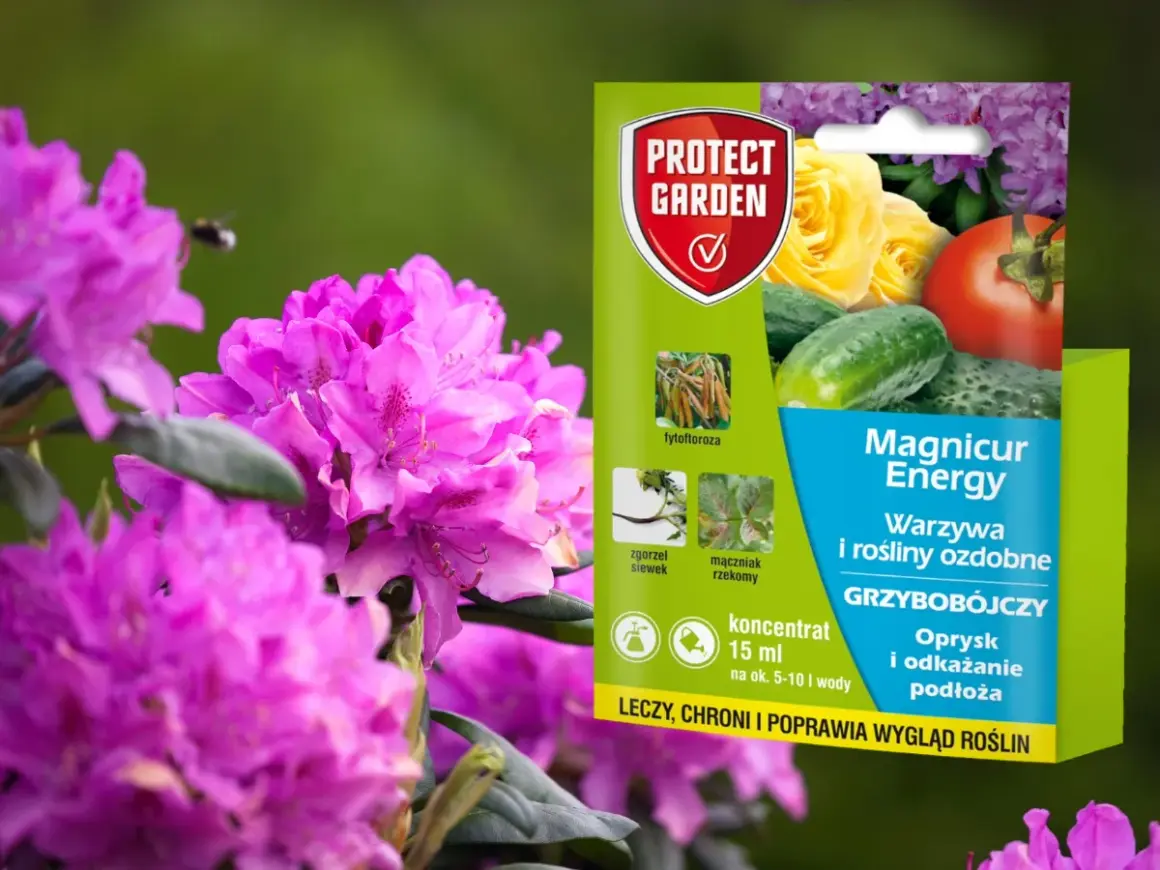 Opakowanie preparatu Magnicur Energy na tle kwitnących różaneczników. Produkt chroni warzywa i rośliny ozdobne przed chorobami grzybowymi.