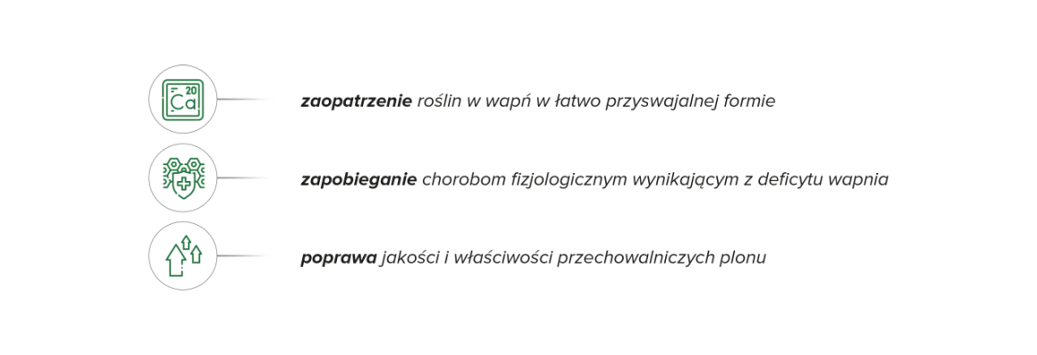 Wapnovit Turbo: zaopatrzenie roślin w wapń, zapobieganie chorobom i poprawa jakości plonu. Poznaj optymalne wapnovit turbo dawkowanie.