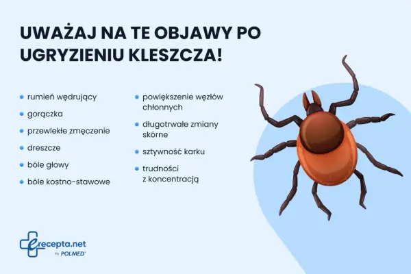 Ilustracja kleszcza i lista objawów po ugryzieniu: rumień, gorączka, zmęczenie, dreszcze, bóle głowy, stawów, powiększone węzły chłonne, zmiany skórne, sztywność karku, trudności z koncentracją.