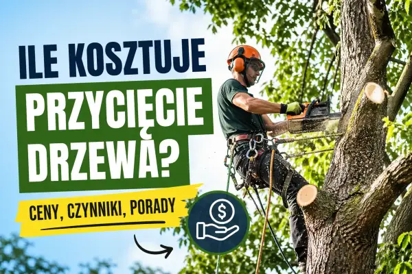 Drwal w kasku i uprzęży tnie drzewo piłą. Napis: "Ile kosztuje przycięcie drzewa? Ceny, czynniki, porady".